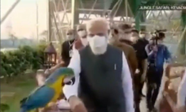 What do birds think about PM?